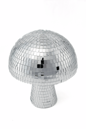Discobal Paddenstoel Spiegels Zwam Standbeeld 25 cm 1