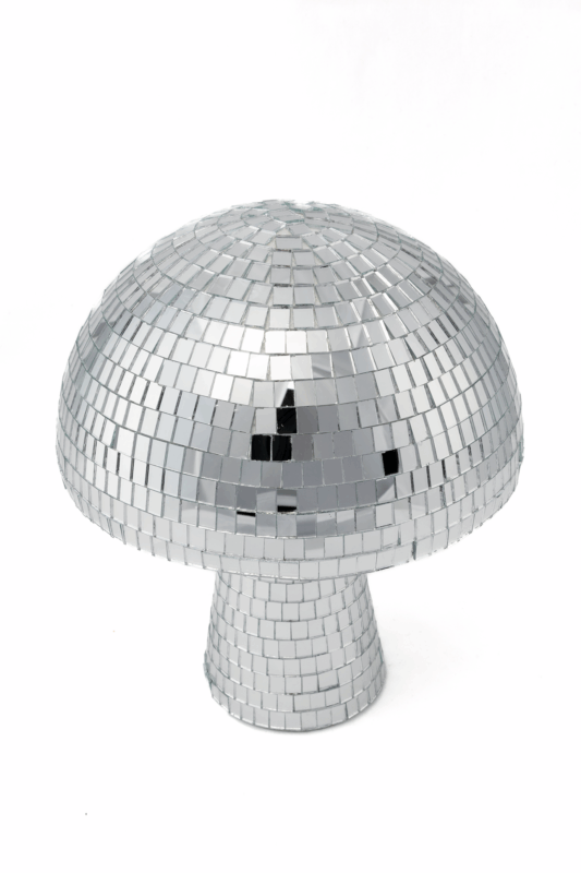 Discobal Paddenstoel Spiegels Zwam Standbeeld 25 cm 1
