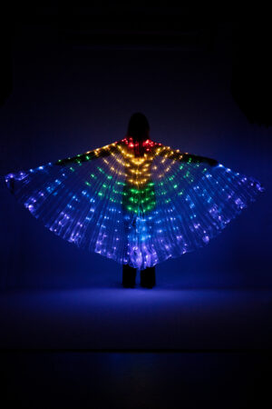 Grote kinder vleugels LED lampjes elfje kostuum parelmoer iridescent