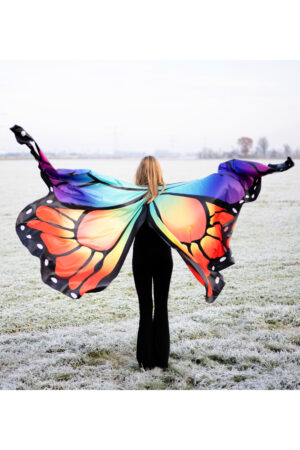 Grote vlinder vleugels kind kostuum pak regenboog