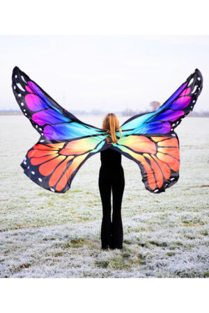 Grote vlinder vleugels kostuum pak regenboog volwassenen