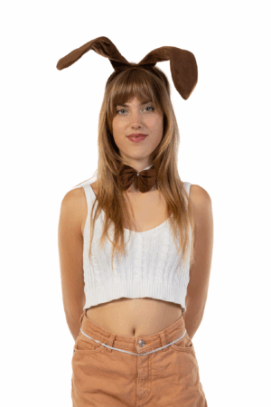 Haarband Hond Staart Strik Bruin Puppy Hondenoortjes Diadeem 10