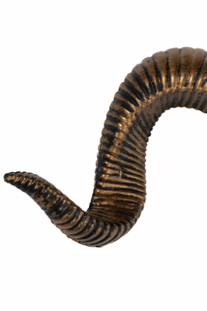 Haarband Hoorns Goud Diadeem Ram Griekse God 10