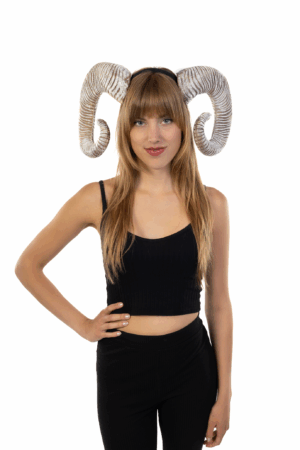 Haarband Hoorns Zilver Diadeem Duivel Halloween Ram Bok 3