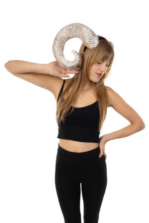 Haarband Hoorns Zilver Diadeem Duivel Halloween Ram Bok
