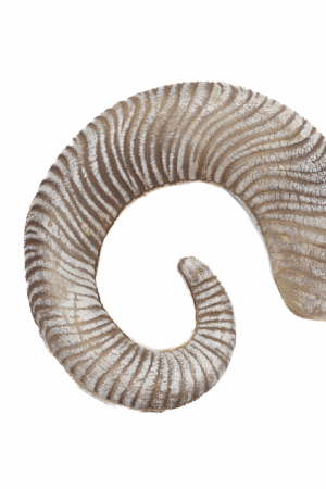 Haarband Hoorns Zilver Diadeem Duivel Halloween Ram Bok 8