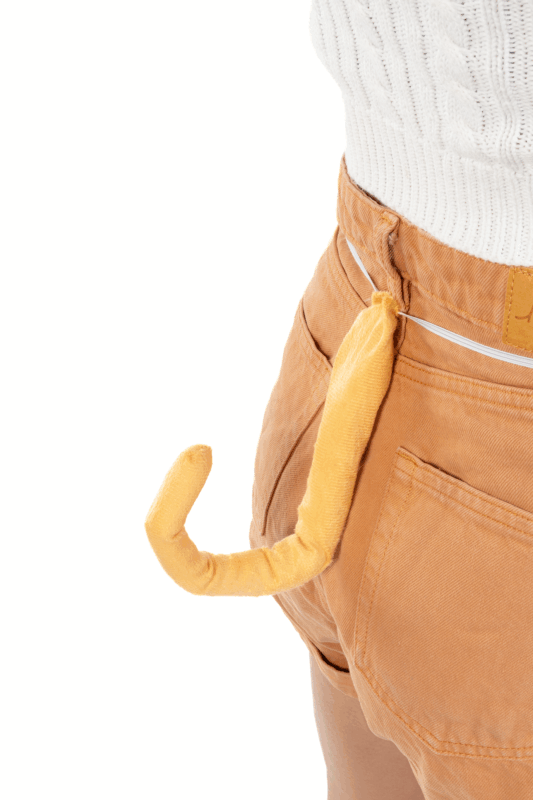 Haarband Leeuw Beige Oren Staart Strik Diadeem Manen EK WK 7