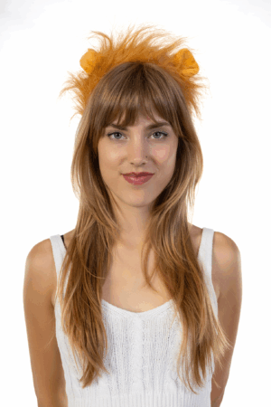 Haarband Leeuw Oranje Oren Staart Haren Diadeem Manen EK WK 5