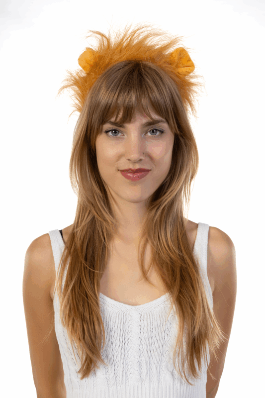 Haarband Leeuw Oranje Oren Staart Haren Diadeem Manen EK WK 5