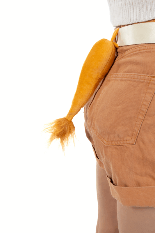 Haarband Leeuw Oranje Oren Staart Haren Diadeem Manen EK WK 7