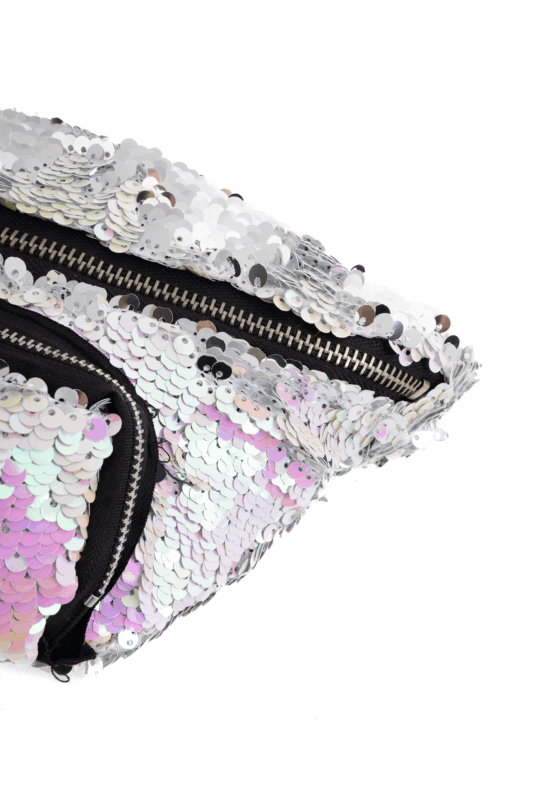 Heuptas Pailletten Voorvak Parelmoer Zilver Sequin Glitter 2