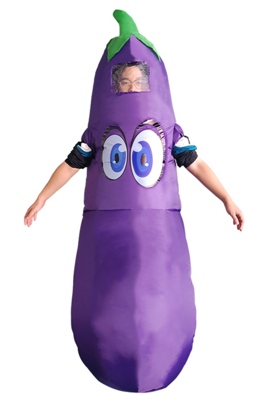 Opblaasbaar Kostuum Aubergine Opblaas Pak Groente Fruit Paars Mascotte
