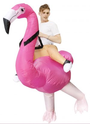 Opblaasbaar Kostuum Rijdend op Flamingo Opblaas Pak Zittend op Roze Vogel