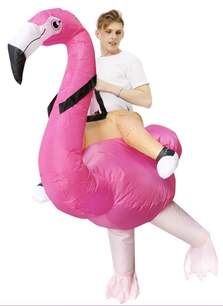 toediening Doordeweekse dagen Inspiratie Opblaasbaar rijdend op flamingo kostuum roze safari kopen? FeestinjeBeest.nl
