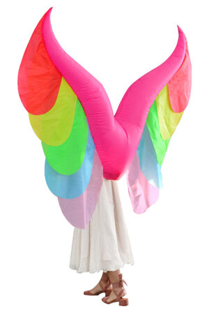 Opblaasbare Grote Vleugels Regenboog Vlinder Opblaas Pak Kostuum Vogel
