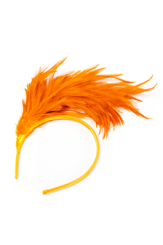 Oranje Veren Haarband EK WK Voetbal Koningsdag Holland Diadeem 2