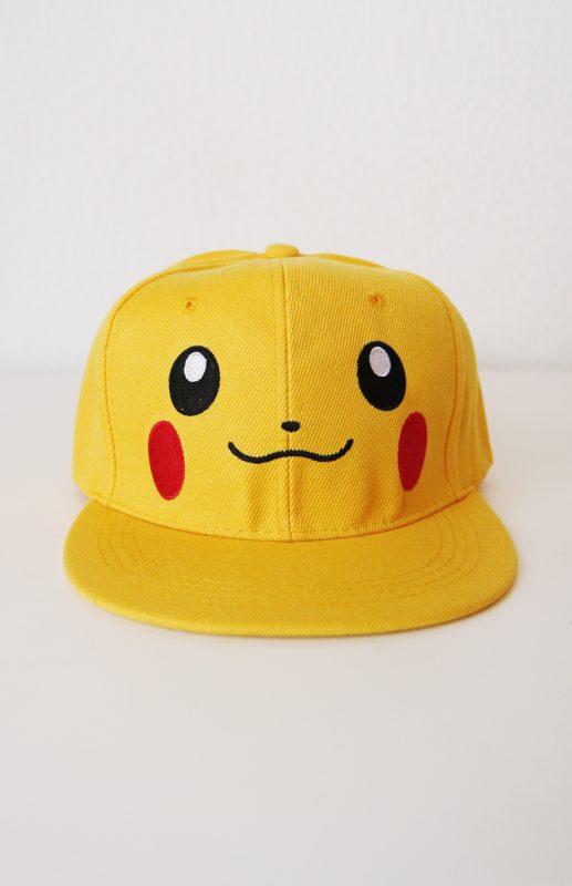 Pikachu pet Pokemon