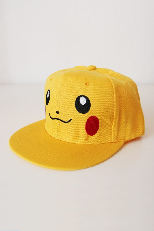 Pikachu-pet-pokemon