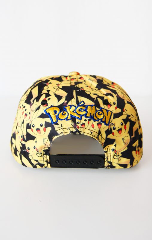 Pikachu-pokemon-pet