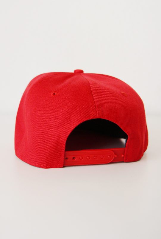Pokeball-pet-pokemon