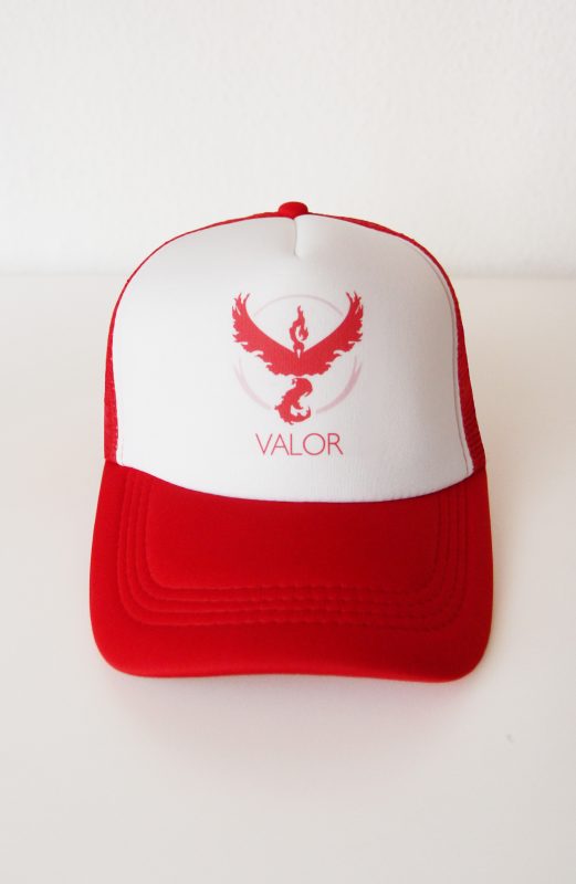 Pokemon GO pet Valor, gaas