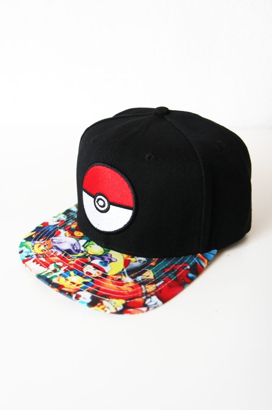 Pokemon-pet-pokeball