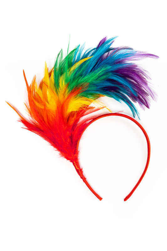 Regenboog Veren Haarband Papagaai Pride Vrolijk Kleuren Diadeem