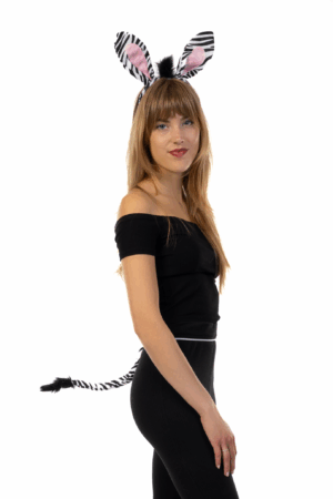 Zebra Haarband Set Oren Staart Diadeem Pak 5