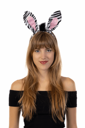 Zebra Haarband Set Oren Staart Diadeem Pak 6