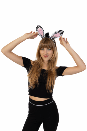 Zebra Haarband Set Oren Staart Diadeem Pak 7