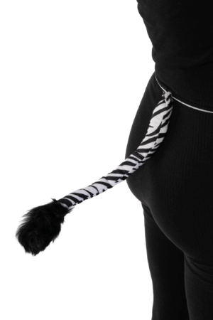 Zebra Haarband Set Oren Staart Diadeem Pak 9
