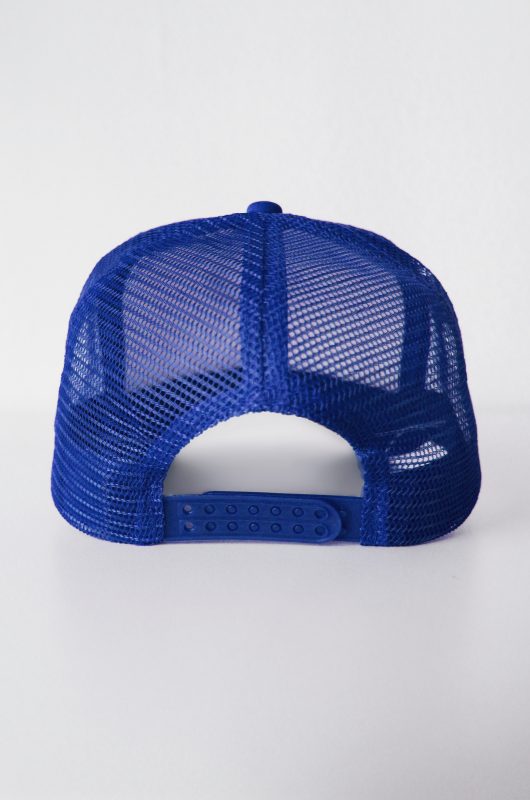 pokemon-go-pet-mystic