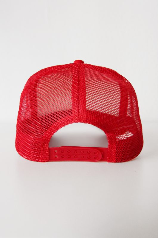 pokemon-go-pet-valor